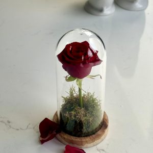 Beauty and the Beast